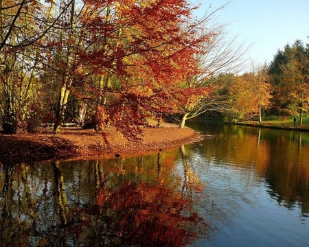 AUTUMN LAKE - trees, forest, nature, lakes