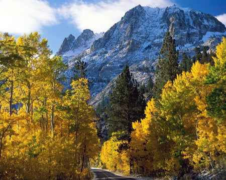 MOUNTAINS AUTUMN - forests, mountains, nature, autumn