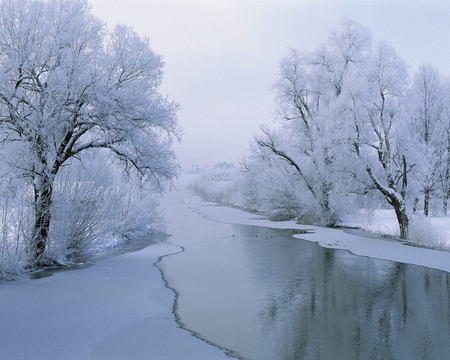 WINTER RIVER - sky, trees, water, field, white, cold, river, clouds, frozen, winter river, ice, daylight, day, winter, shore, ground, nature, snow