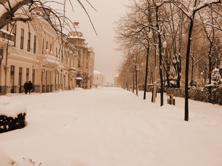 Snow winter - white, winter, nature, landscape, snow