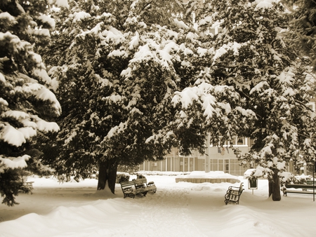 Snow winter - white, nature, landscape, snow, winter