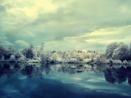 White Lake Trees - white, picture, lake, trees, cool