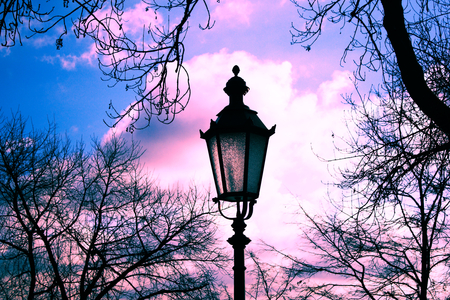 Lantern - tree, photography, lantern, sky