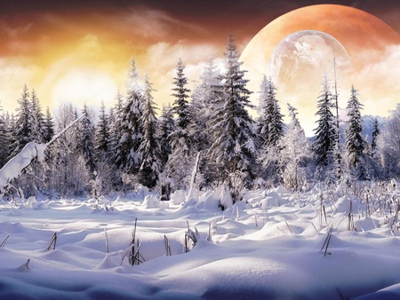 winter wonderland - moon, trees, clouds, snow, planet