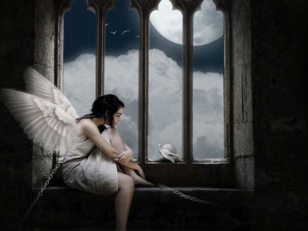 So alone - white dress, alone, angel, bird