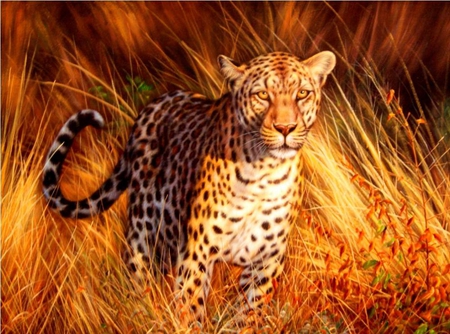 Augusto Bruno . Picture : Ð›ÐµÐ¾Ð¿Ð°Ñ€Ð´. 2011 year. - leopard, animal, painting, jungle, art, augusto bruno