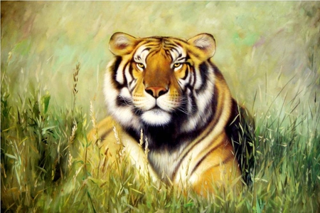 Tina Bruno . Picture : Tiger. 2011 year. - painting, art, animal, tina bruno, tiger