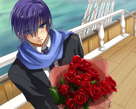 Blushing Kaito - kaito, roses, red, blushing