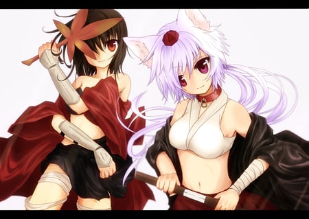 NekoGirl and Warrior - beauty, girl, warrior, nekogirl, touhou, game, anime, classic, new