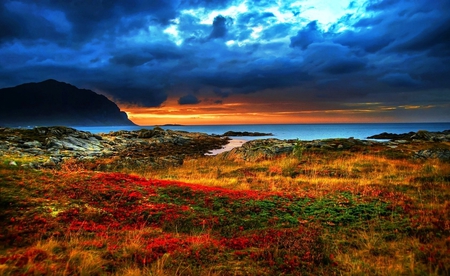 Nature Color - desktop, wallpaper, cliffs, paisagem, background, plants, scenery, panorama, picture, photography, beaches, maroon, gray, red, cool, evening, paysage, awesome, photo, flowers, yellow, cenario, blue, scenario, beije, multicolor, natural, storm, coast, clouds, cena, landscapes, colours, colors, day, mounts, seasons, black, pc, beautiful, widescreen, amazing, multi-coloured, brown, afternoon, view, computer, image, nature, colorful, autumn, paisage, beauty, spring, hills, photoshop, sky, sunsets, nice, scene, orange, bechescapes, green