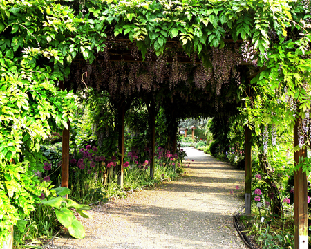 Down the Garden Path - lovely, pretty, nice, green