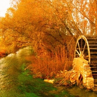 autumn windmill