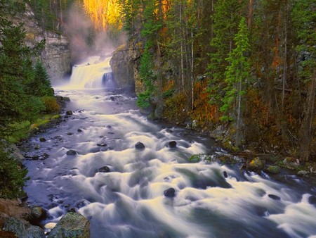 river - forest, trees, waterfall, river