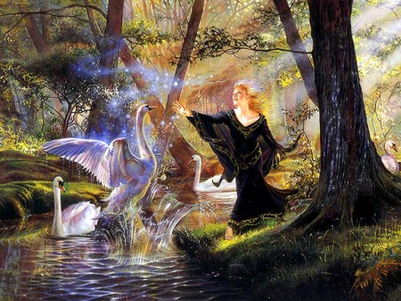 girl and swans - trees, rays, woman, swan, girl, forest, light, art