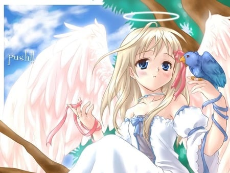 Angel - clouds, bird, anime, satin, wings, angel