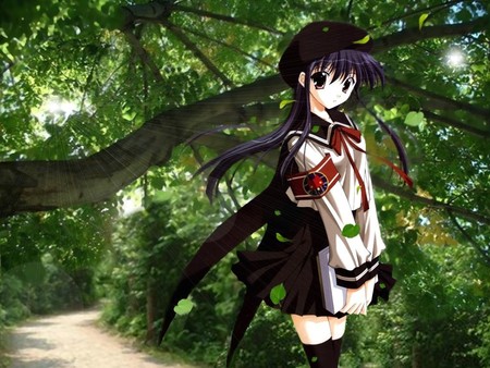 In The Woods - Other & Anime Background Wallpapers on Desktop Nexus