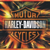 HARLEY-DAVIDSON FIRE