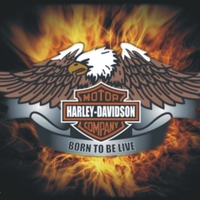 Harley-Davidson born to be live..