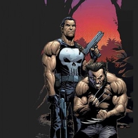 Punisher & Wolverine