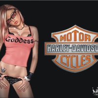 Harley-Davidson goddess babe2