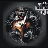 Harley-Davidson dragon