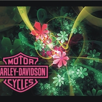 Harley-Davidson logo et fleurs