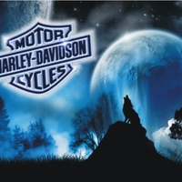 Harley-Davidson loup