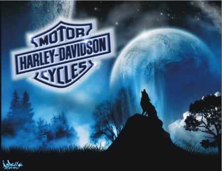 Harley-Davidson loup - wolf, nuit, blue, night, loup, motorcycle, logo, harley davidson