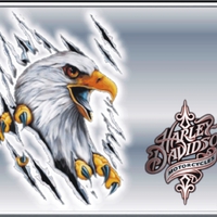 harley-Davidson aigle d'argent