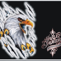 Harley-Davidson aigle argent
