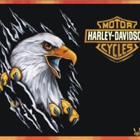 Harley-Davidson logo orange aigle