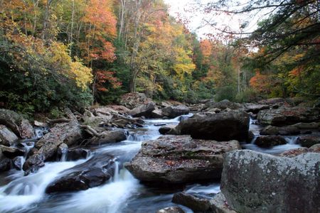 River - stones, trees, flow, river