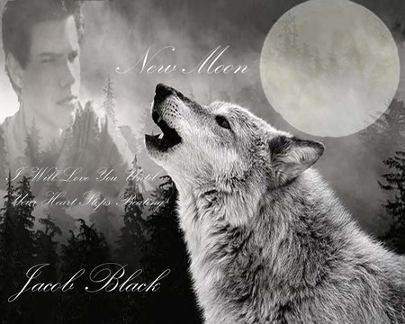 Love - wolf, love, abstract, boy, black and white