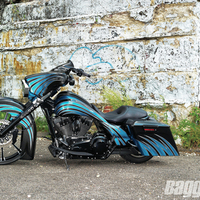 CamTech Custom Baggers