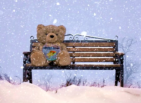 Bear Winter - snow, bear, bench, winter