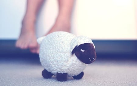 Lamb toy - nice, stuff, toys, adorable, photography, lamb, abstract, photo, cute