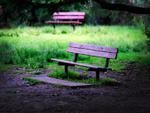 Purple bench