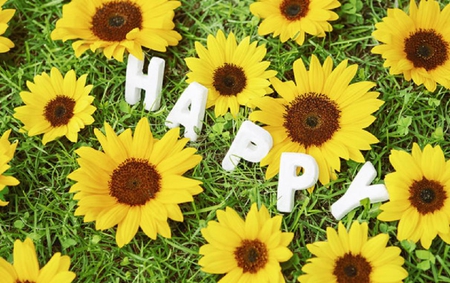 H A P P Y - abstract, sunflowers, yellow, photography, lovely, photo, flowers, cute, nice