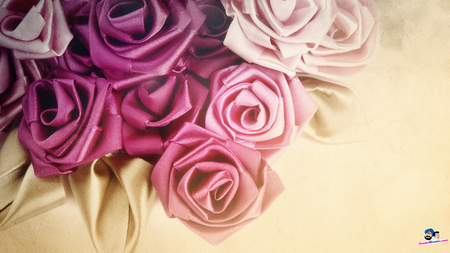 Gorgeous Roses - roses, pink, purple, peach