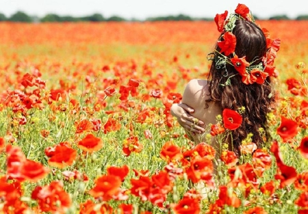 Girl in flower fields - abstract, poppy fields, photography, girl, photo, others, flowers, nice, sexy