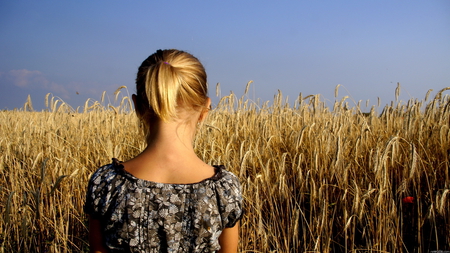 Summerfield - girl, field, poppy, grain