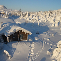Winter landscape