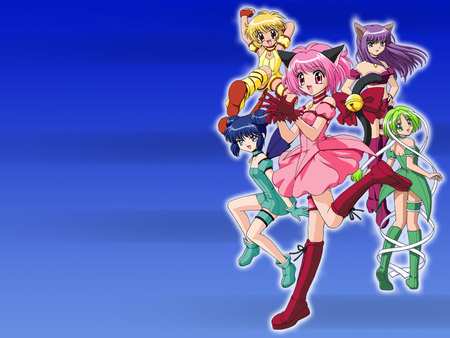 Mew Mew Team - tokyo mew mew, mew mews, anime, team, other, blue, colorful