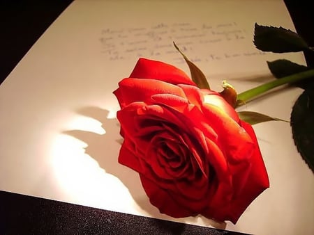 A Love Letter - love, letter, romantic, love letter, photography, rose