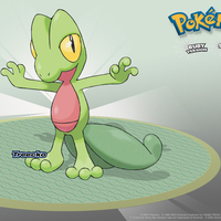 Treecko