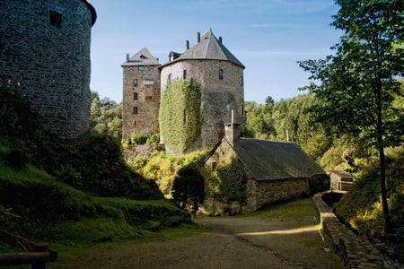 Reinhardstein Castle - trees, stone, stronghold, grass, reinhardstein, medieval, classic, fortress, belgium, burg, castle