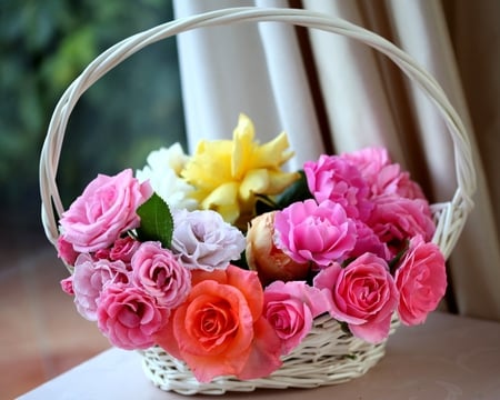 White  basket with flowers - wallpapers, flowers, basket, nature