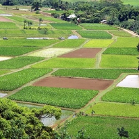 Hanalei National Wildlife, Hawaii