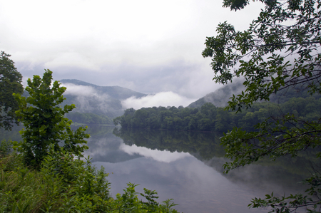 Morning fog - morning, trees, background, landscape, water, image, nature, white, green, fog, rivers