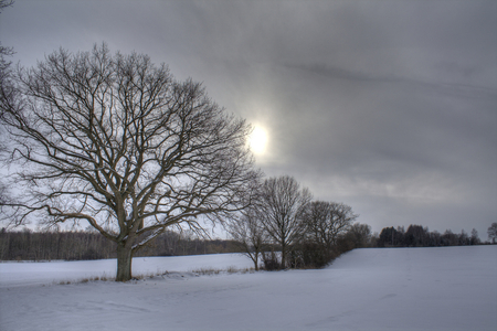 Winter time - landscape, snow, hdr, sky, sun, clouds, trees, winter, fog, image, beautiful, morning, nature, picture, time, cold, silent